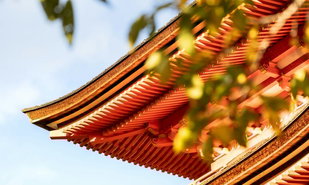 Austin Goes to Japan After Hearing Others’ Experiences 